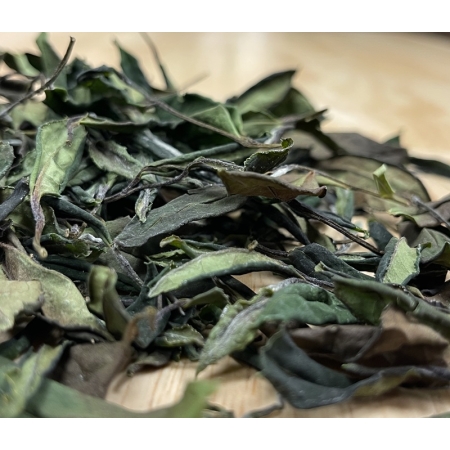 Thé Blanc du Roussillon