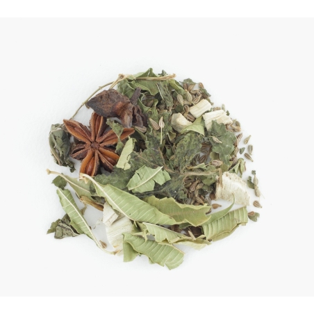 infusion digestion infusion digestion