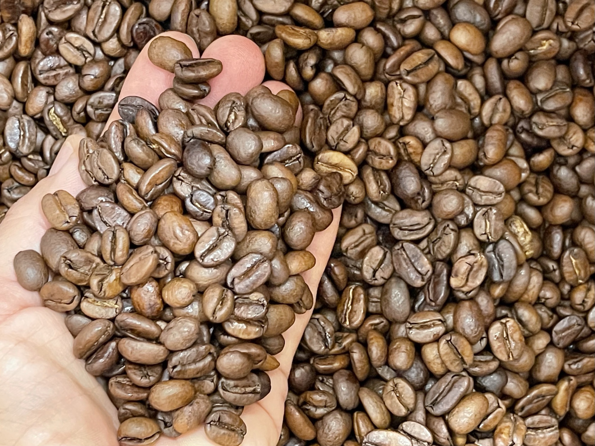 café en grains