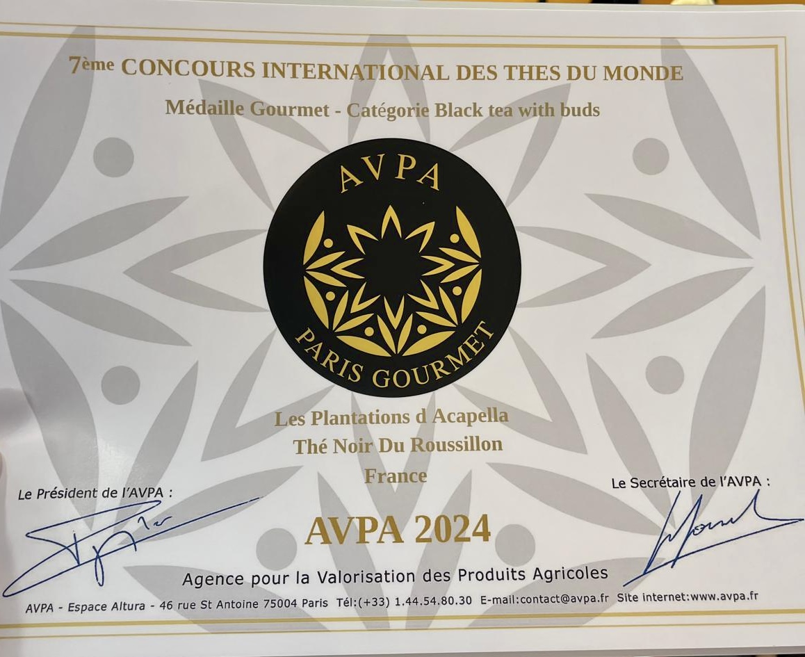 Médaille Gourmet AVPA 2024 pour le thé noir du Roussillon