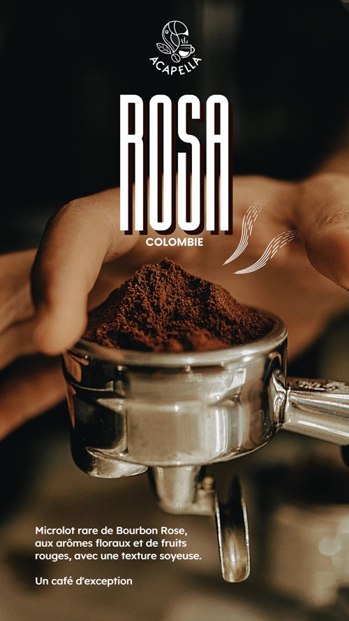 Café bio Colombie Bourbon rose Rosa