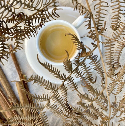 Café de spécialité Pasillo — micro-lot équatorien torréfié à Toulouse